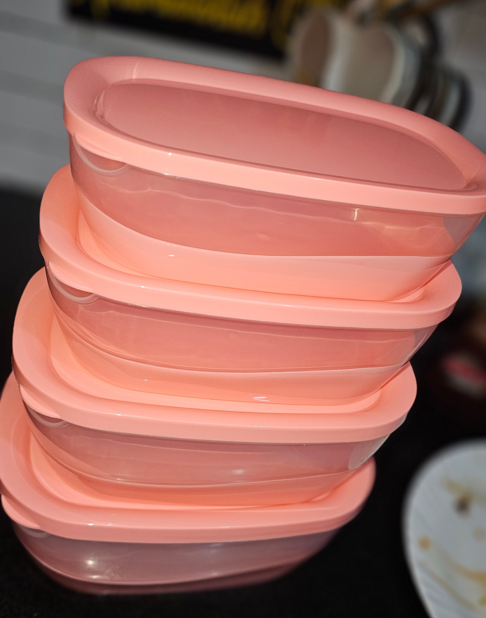 Food Storage Box