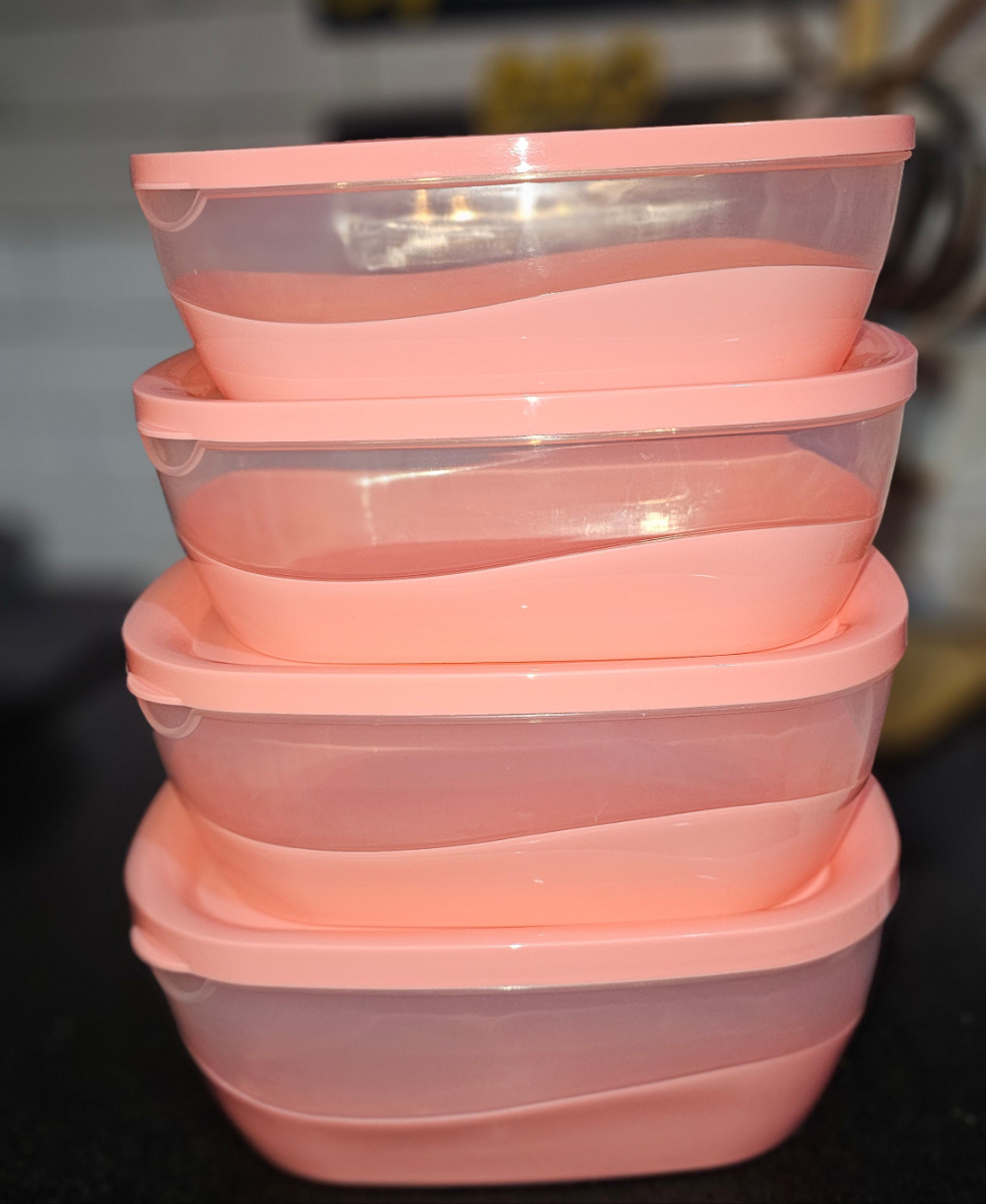 Food Storage Box