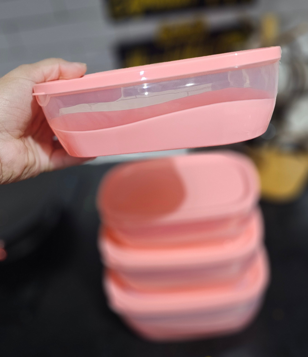 Food Storage Box