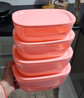 Food Storage Box