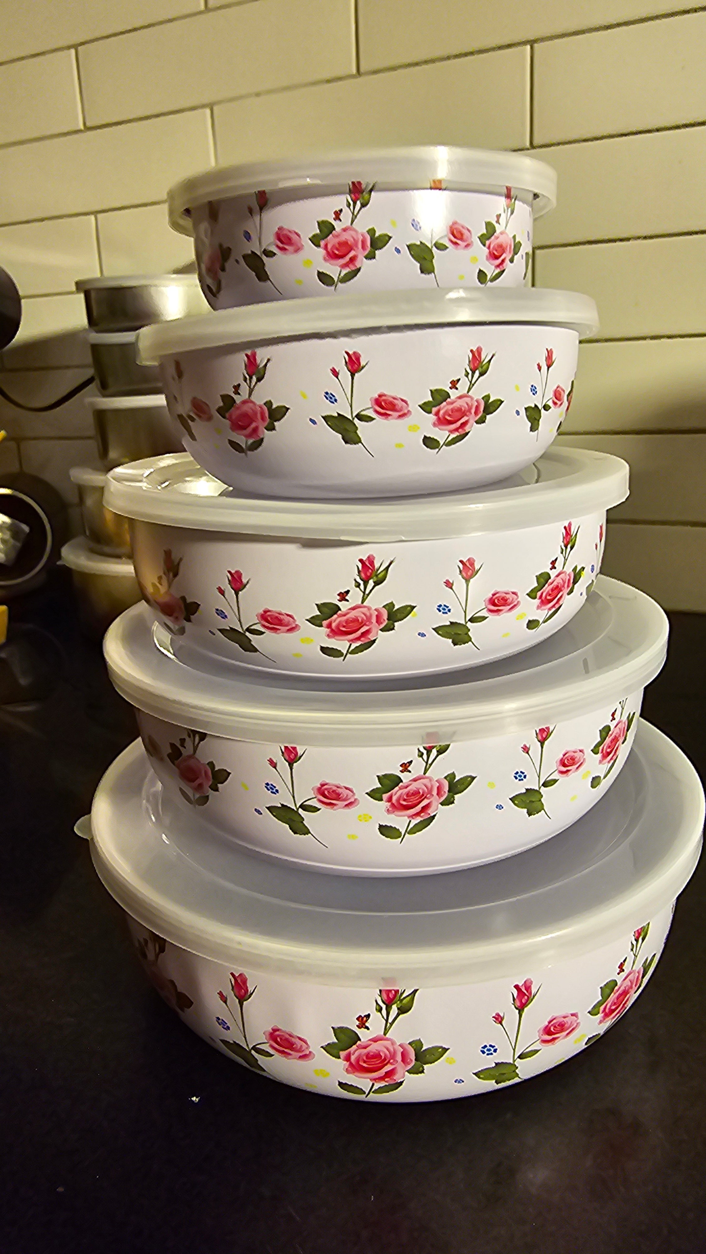 Non Stick food Containers